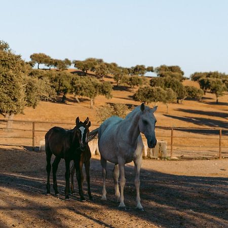Herdade Da Caniceira Ervedal Eksteriør bilde